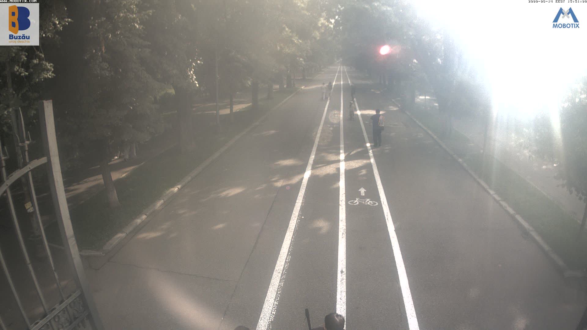 Buzau: Parcul Crang