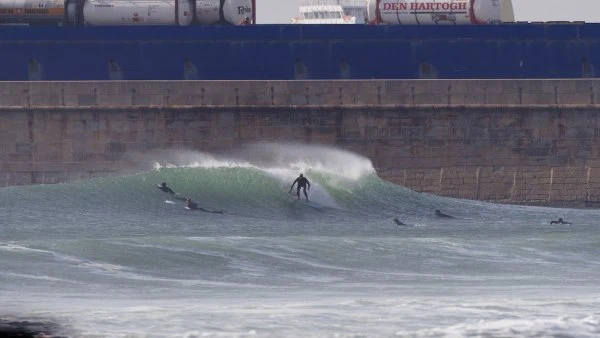 Matosinhos e Leca da Palmeira