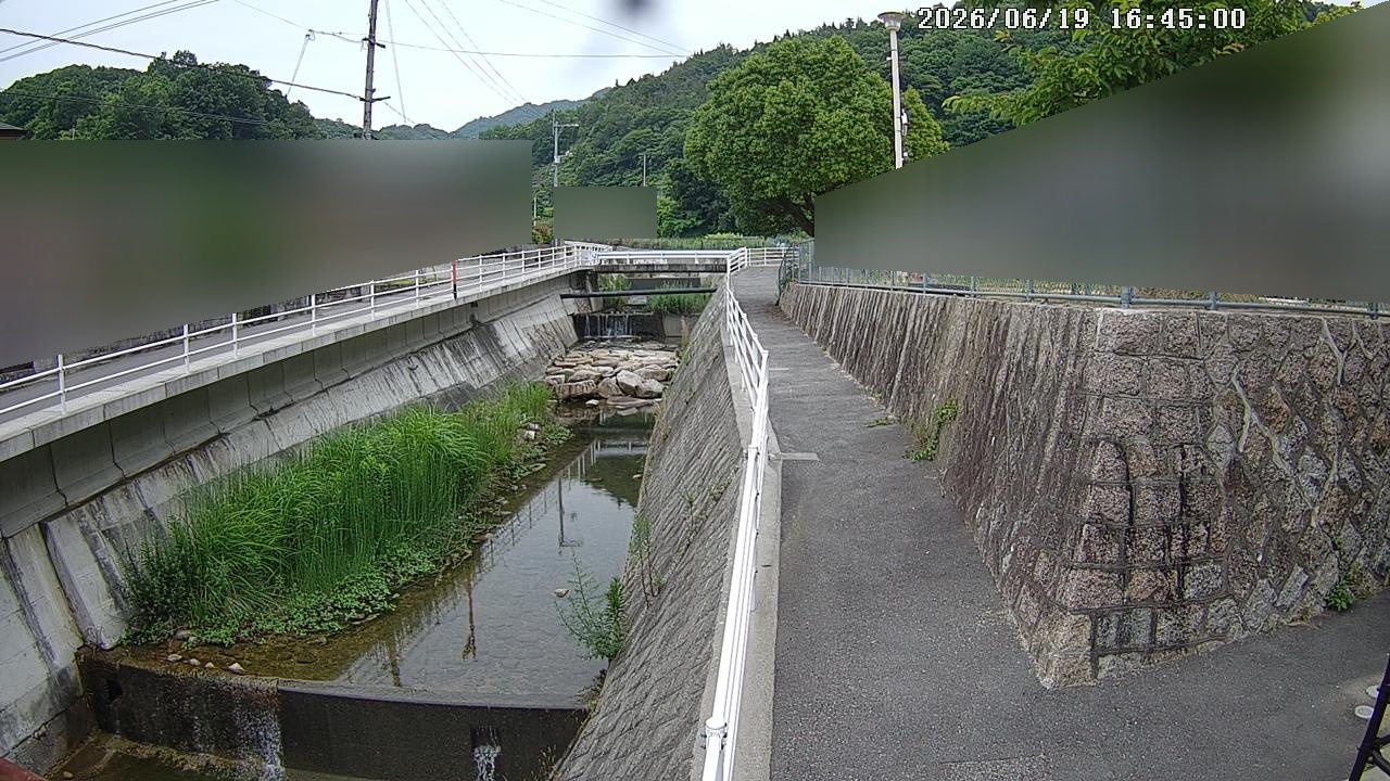 Saka