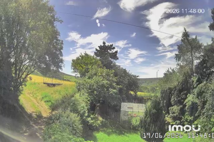 Scarborough › South: North York Moors