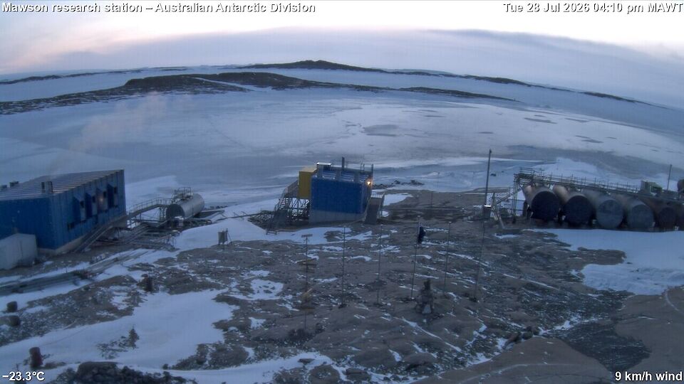 South Georgia › North: Mawson Station
