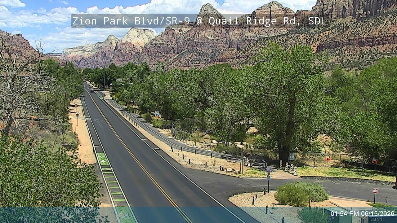 Springdale › North-east: Zion – Mount Carmel Highway