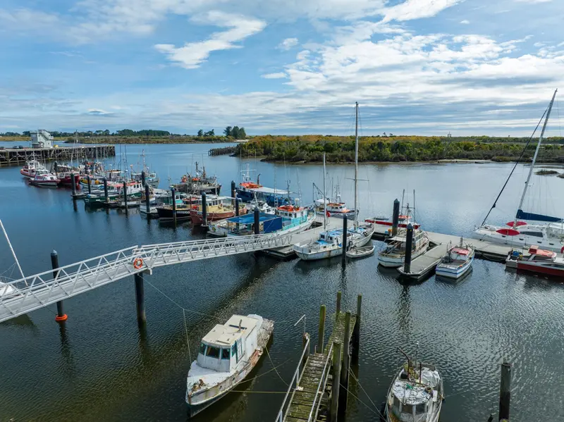 Westport › North